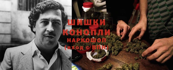 гидра Козельск