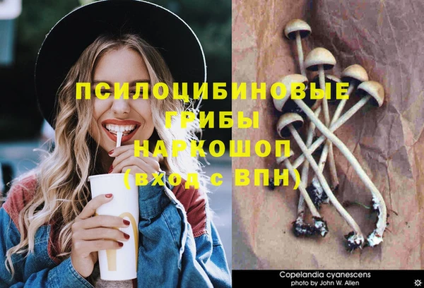 гидра Козельск