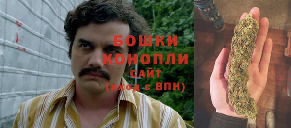 гидра Козельск