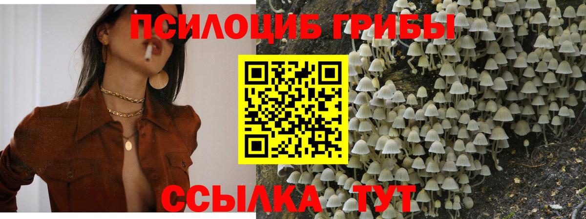 Галлюциногенные грибы GOLDEN TEACHER Кинель