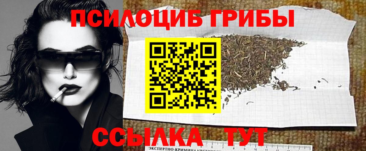 Псилоцибиновые грибы GOLDEN TEACHER  Вход с VPN  Псилоцибиновые грибы ЛСД  Кинель 