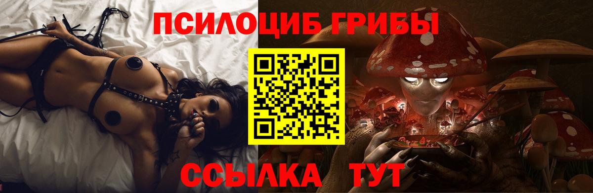 Псилоцибиновые грибы мицелий  Кинель 