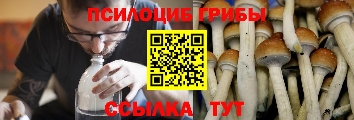 Псилоцибиновые грибы ЛСД Кинель