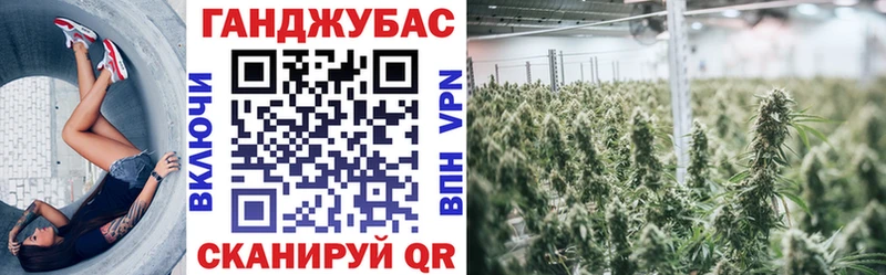 Купить где  Кинель  Конопля LSD WEED 
